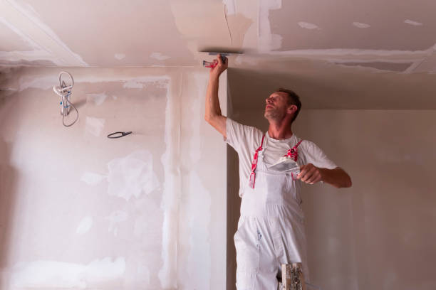 Best Fire-Damaged Drywall Repair  in Girard, OH